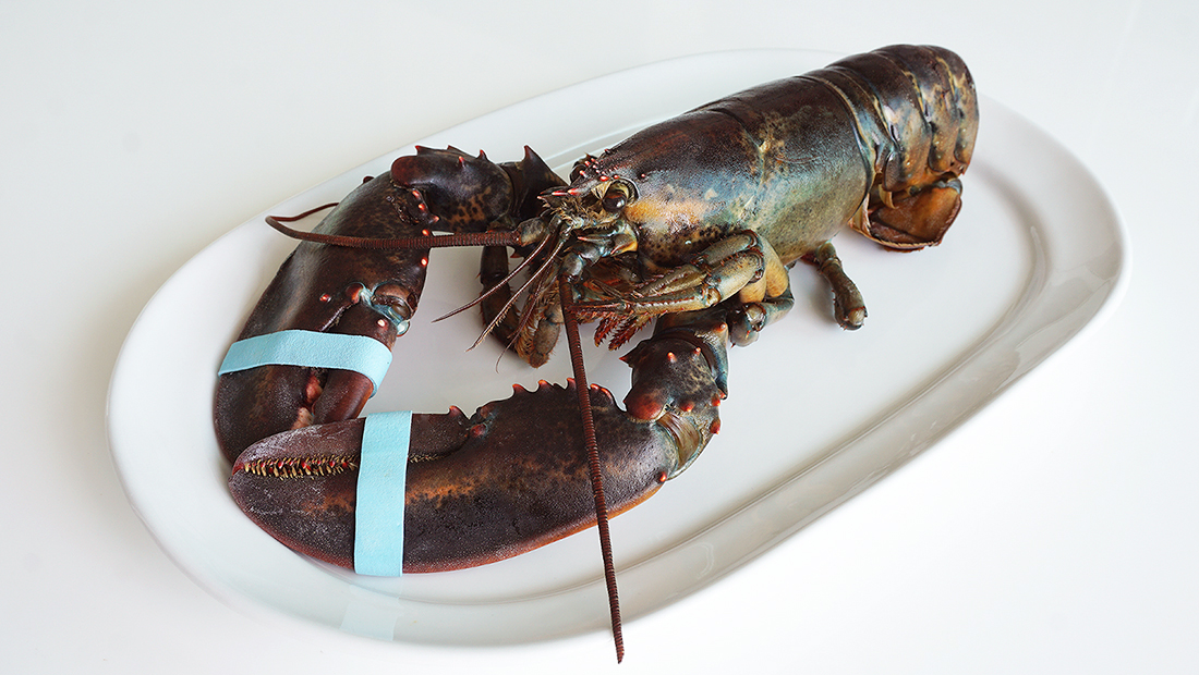 Pad Thai Maine Lobster 2