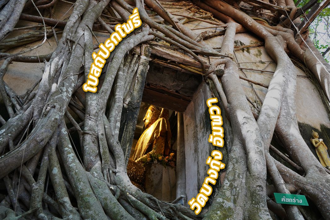 WAT Bang Kung 0