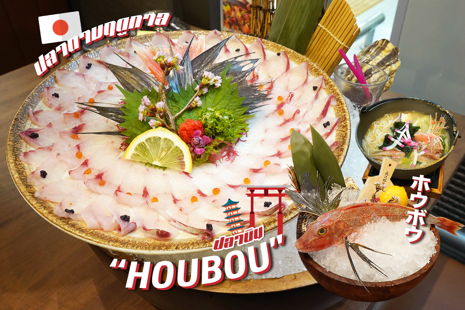 กินปลาบิน ปลาโฮโบะ (HOUBOU) ส่งตรงจากฟุกุโอะกะ (Fukuoka) หากินยาก สดใหม่วันต่อวัน @KABOCHA SUSHI ต้องลองซักครั้ง…