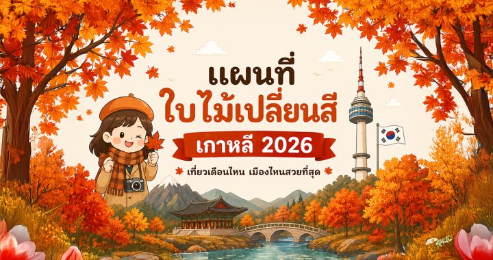 แผนที่ใบไม้เปลี่ยนสีเกาหลี 2026 เที่ยวเดือนไหน เมืองไหนสวยที่สุด