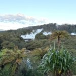 Rotorua เมืองที่ไอน้ำพุ่งจากพื้น! เที่ยว Te Puia ชม Pōhutu Geyser กิน Hāngī ก่อนดูพิธี Māori และ Haka เต้นสงคราม